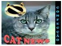 Cat News